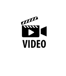 19 septembre 2024
Spirée Fouée
Au camping
